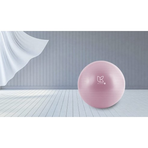 아리프 안티버스트 짐볼 + 에어펌프 + 공기마개 실사용 후기 | 효과 있을까? - 상품 이미지 3