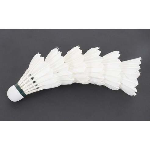 프로스펙스 깃털 셔틀콕 HAWK 2000 이미지 4