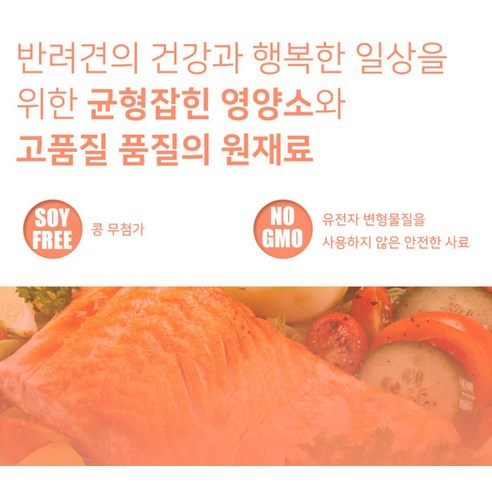 몬지 어덜트 도그 모노프로틴 LID 올브리드 건식사료 솔직 후기 | 실제 사용자 리뷰 총정리 - 상품 이미지 3