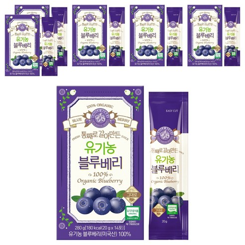 홀베리 통째로 갈아만든 유기농 블루베리, 20g, 84개