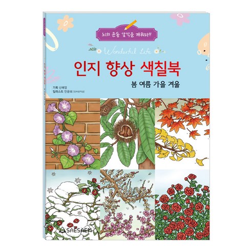 인지 향상 색칠북: 봄 여름 가을 겨울, 새샘