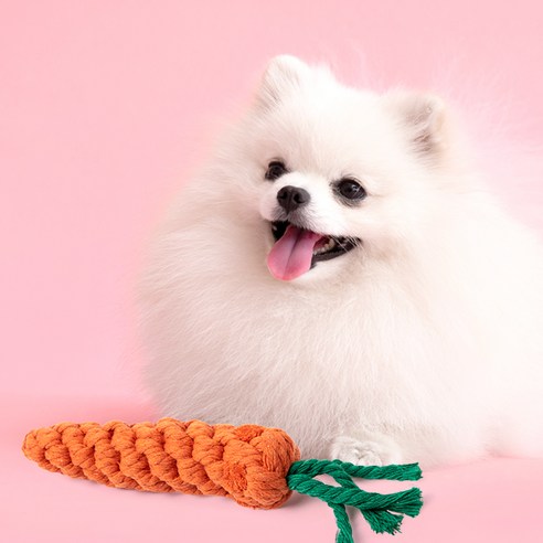 코멧 펫 당근 실타래 장난감 이미지 3