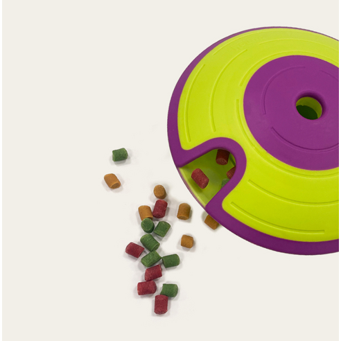 벨버드 강아지 킹 져키 S 이미지 4