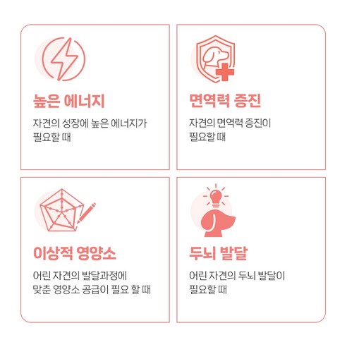 유한양행레시피브이 강아지 처방식사료 이미지 2