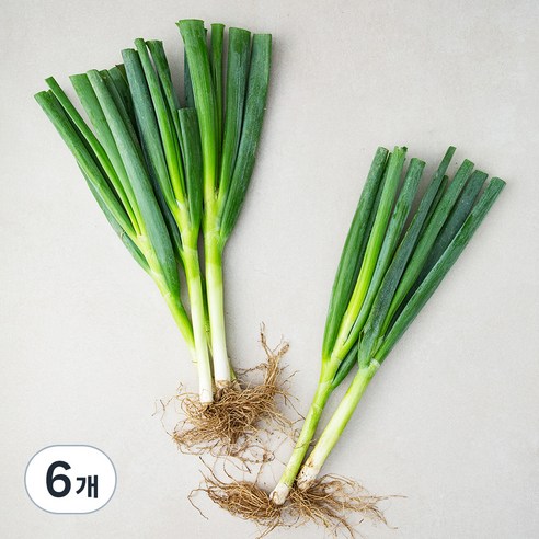 750g, 6개