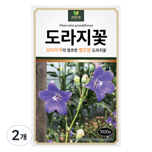 다농 씨앗애 도라지꽃 씨앗 1000p, 2개