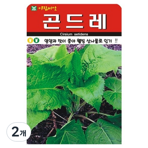아람종묘 곤드레 씨앗 100립, 2개