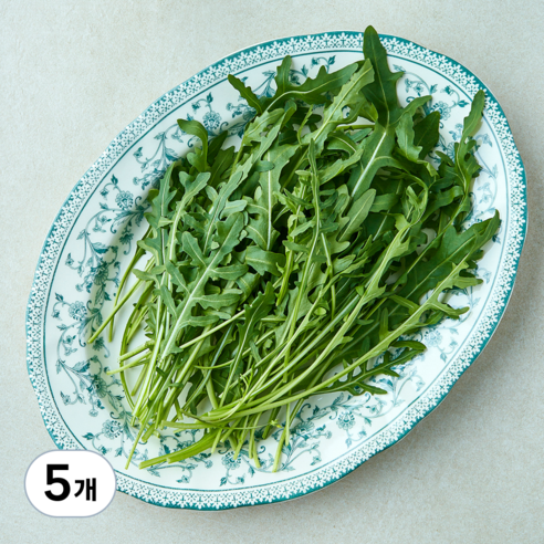 국내산 와일드 루꼴라, 100g, 5개