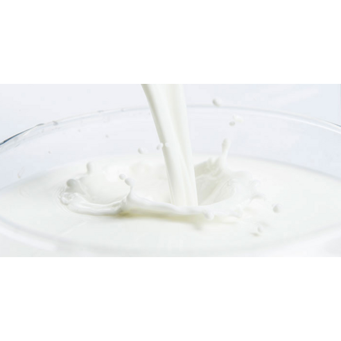 맛있는우유GT 고소한 저지방 멸균우유 후기 분석 - 영양 성분 정보