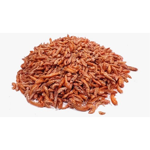 샘아쿠아 리프레쉬 감마루스 거북이 사료 솔직 후기 | 실제 사용자 리뷰 총정리 - 상품 이미지 3