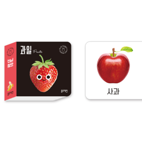 아기 첫 사진 인지책 세트 전4권 이미지 3