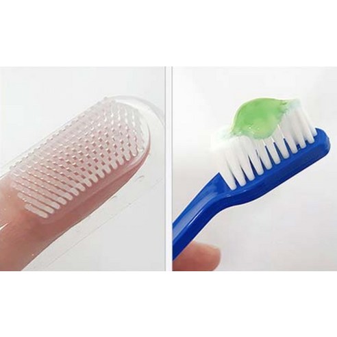 부들부들 에코랜드 반려동물 치약칫솔세트 이미지 4