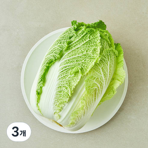 땅끝 해남 배추, 1.6kg, 3개, 1개입