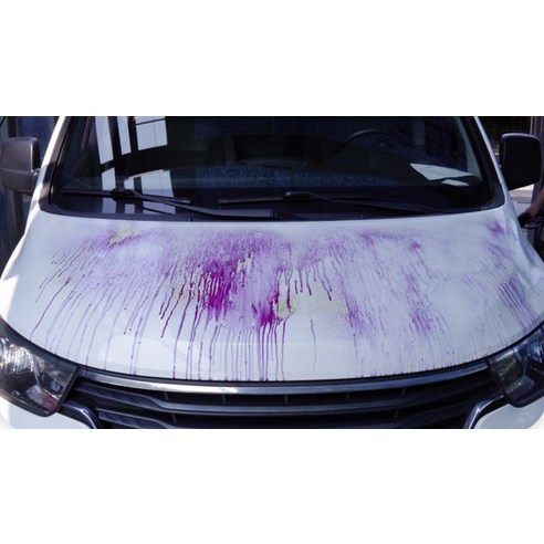 아이언킬 철분제거제 실사용 후기 | 효과 있을까? - 상품 이미지 4