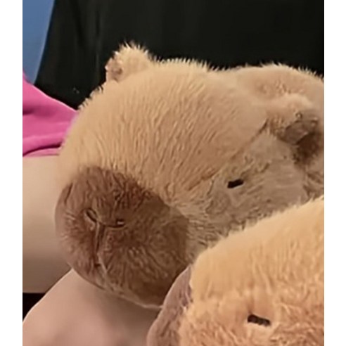 다다랜드 껌딱지 손목 부착가능 애착 밴드 인형 이미지 4