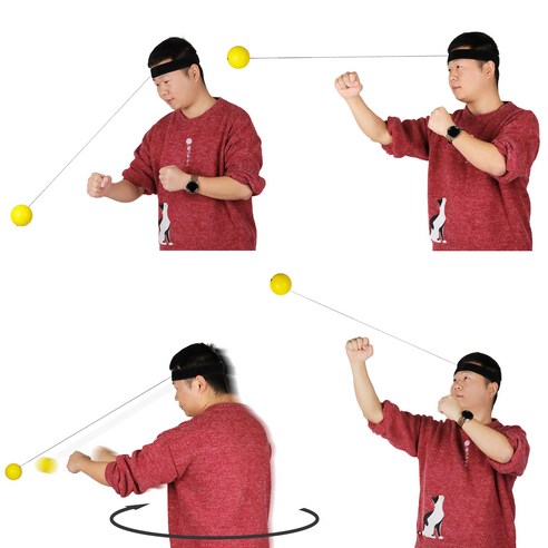 코멧 스포츠 복싱볼 이미지 4