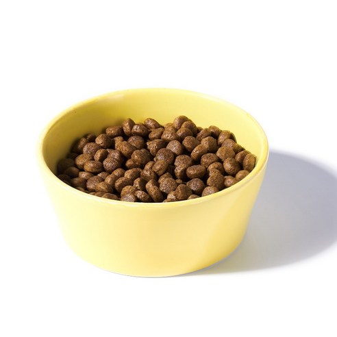 라무달리 전연령 강아지 금동 건식사료 솔직 후기 | 실제 사용자 리뷰 총정리 - 상품 이미지 3