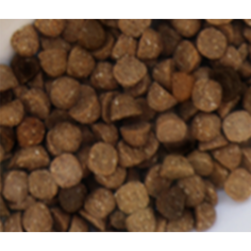 스텔라앤츄이스 전연령 강아지 로우 코티드 키블 스몰브리드 건식사료 솔직 후기 | 실제 사용자 리뷰 총정리 - 상품 이미지 4