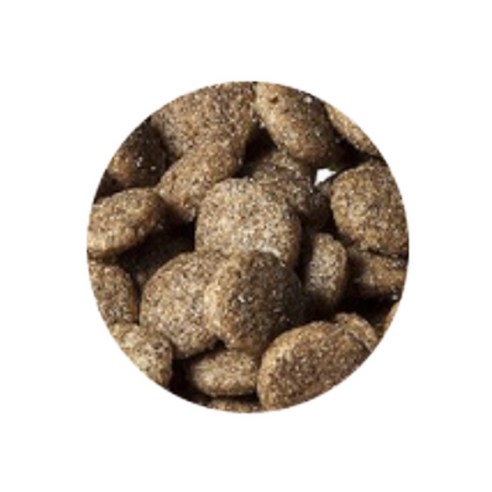 프로베스트 고양이 블루 기능성 사료 솔직 후기 | 실제 사용자 리뷰 총정리 - 상품 이미지 4