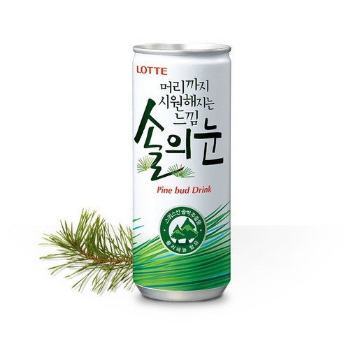 롯데칠성음료 솔의눈 240ml, 30개 실사용 후기 | 효과 있을까? - 상품 이미지 2