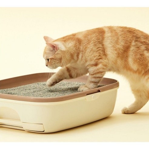 동원아르르 푸푸 베이직 벤토나이트 고양이 모래 후기 분석 - 관리 팁