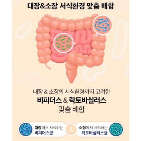 에치와이 야쿠르트 프로바이오틱스 유산균 120g, 2개 솔직 후기 | 실사용자 리뷰 분석 - 상품 이미지 4