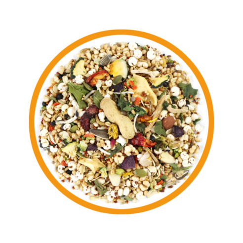 패러그린 골든햄스터 프리미엄 푸드 솔직 후기 | 실제 사용자 리뷰 총정리 - 상품 이미지 2