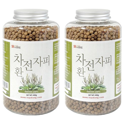 갑당약초 차전자피환 400g, 2개 실사용 후기 | 효과 있을까? 썸네일