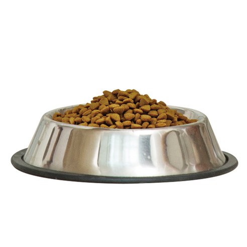 윌로펫 시니어 강아지 뉴트리탑 소프트사료 후기 분석 - 제형 디테일