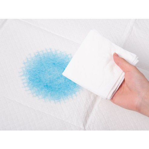 탐사 실속형 배변패드, 댕댕이와 당신을 위한 완벽한 선택!