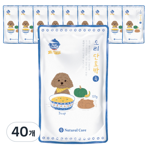 네츄럴코어 강아지 전복죽 주식 파우치 15p, 연어, 50g, 15개