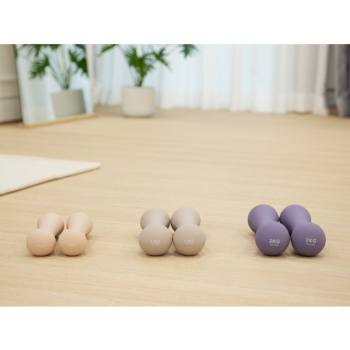 코멧 스포츠 논슬립 아령 솔직 후기 | 실사용자 리뷰 분석 - 상품 이미지 2