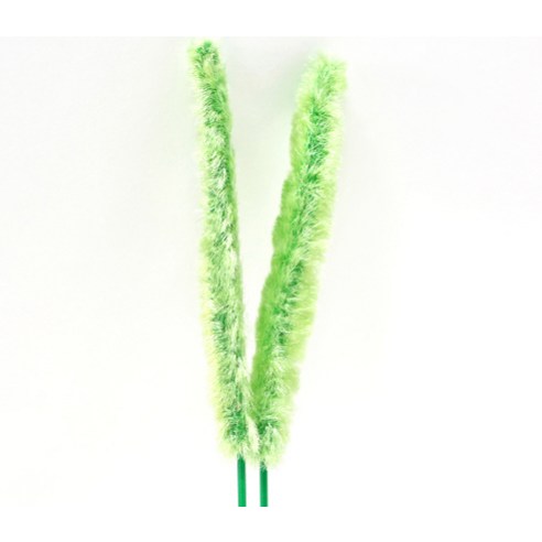 캐티맨 강아지풀 소 + 억새풀 소 고양이 장난감 솔직 후기 | 실사용자 리뷰 분석 - 상품 이미지 2