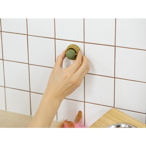 코멧 고양이 캣닢 볼 솔직 후기 | 실사용자 리뷰 분석 - 상품 이미지 4