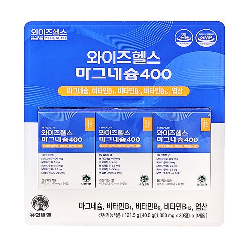 와이즈헬스 마그네슘400 40.5g, 3개, 30정