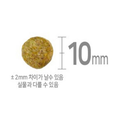 도그랑 전연령 강아지 패밀리 중대형 건식사료 솔직 후기 | 실제 사용자 리뷰 총정리 - 상품 이미지 3