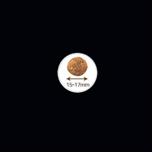 go 전연령 강아지 솔루션 LID 레시피 건식사료 솔직 후기 | 실제 사용자 리뷰 총정리 - 상품 이미지 3