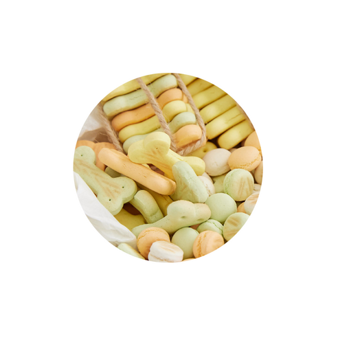 비스코티 반려동물 비스켓 솔직 후기 | 실제 사용자 리뷰 총정리 - 상품 이미지 2