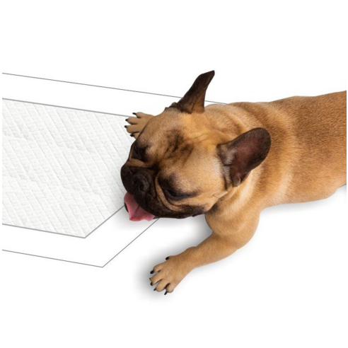 네이처펫 맘모스 초대형 애견패드 레몬향 이미지 3