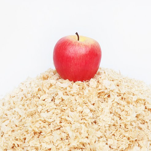 탐사 압축 톱밥 베딩 사과향 솔직 후기 | 실제 사용자 리뷰 총정리 - 상품 이미지 4