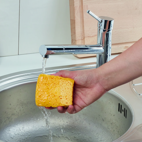 스폰텍스 드라이 셀룰로스 스펀지 2 트레디션 수세미 실사용 후기 | 효과 있을까? - 상품 이미지 3