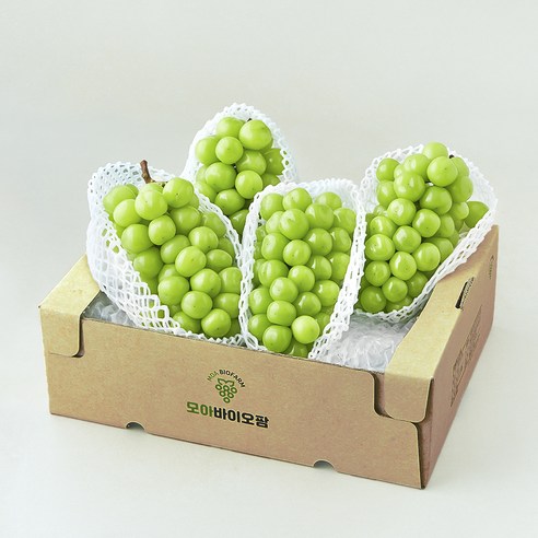 모아바이오팜 당도선별 샤인머스캣, 4kg, 1개