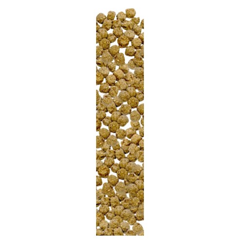 종근당 장건강 프로젝트 365 차전자피 식이섬유환 30p 135g, 1개 이미지 4