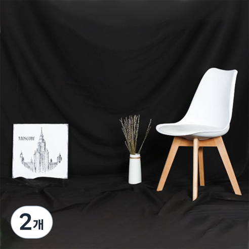 대한 스탠다드 촬영용 배경천 2.4 x 3 m, 단일상품(블랙), 2개