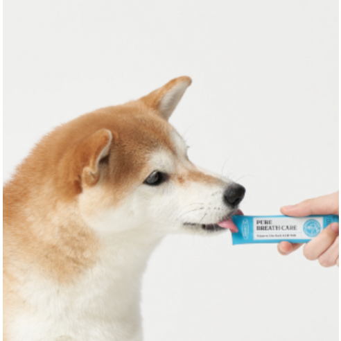 프로젝트21 강아지 퓨어브레스케어 영양제 이미지 3