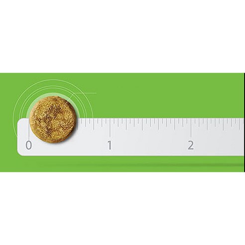 하림펫푸드 밥이보약 강아지 사료를 맛있게 먹는 모습