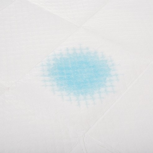 탐사 실속형 배변패드 솔직 후기 | 실사용자 리뷰 분석 - 상품 이미지 2