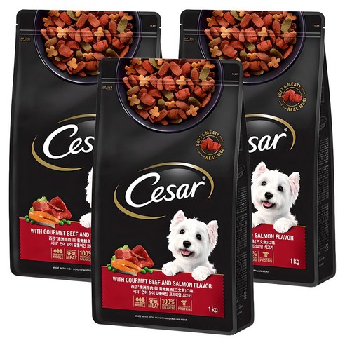 시저 어덜트 강아지 건식사료 솔직 후기 | 실제 사용자 리뷰 총정리 - 상품 이미지 1