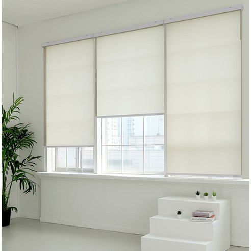 창안애 스탠다드 롤스크린: 심플함 속에 숨겨진 완벽함