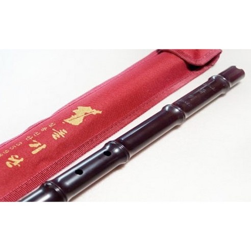 돌기 플라스틱 단소 이미지 2